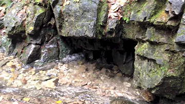 Dove nasce e dove sfocia il fiume Lambro?