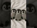 Three Baby Penguins Cuddling in Bed 🐧💤 #babypenguin #cute #penguin