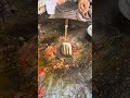 Old Baba Ji Kaleji Or Lobia Banaty Huwe | Zaiq e Dar Lobia Kaleji | Pipal Mandi Peshawar #shorts