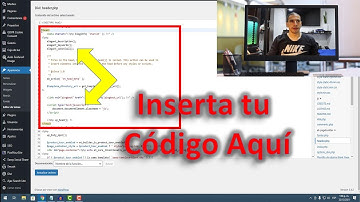 😲 Como entrar al HEAD en WORDPRESS sin plugins / insertar código dentro del head en WordPress