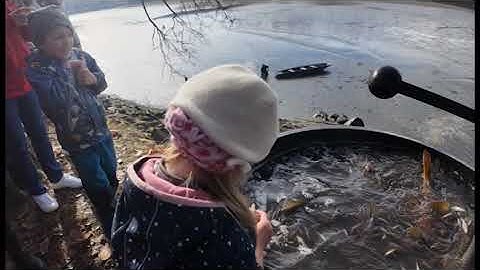 Xem tát ao của người Séc 2025 / Výlovy rybníků 2025