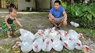 Harvesting the geese to themarketsellBuy flower seedlings to plant garden decoration /xuan truong