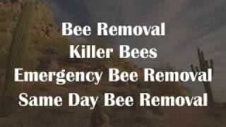 Scottsdale and Paradise Valley Pest Control Services | A Bee Pest Pro screenshot 5