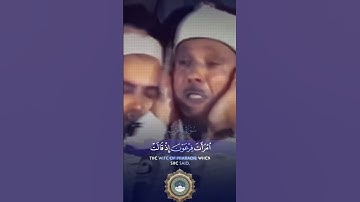 ونجني من فرعون وعمله | روائع الشيخ عبد الباسط عبد الصمد رحمه الله #سورة #عبد_الباسط_عبد_الصمد