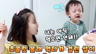 동생 설이가 초콜릿 몰래 먹다가 걸렸어요.. 아직은 안돼.. ㅠ