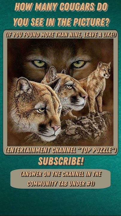 how-many-cougars-do-you-see-in-the-picture-pazzles-shorts-youtube