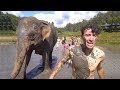 MUD BATH with an ELEPHANT! Chiang Mai Thailand