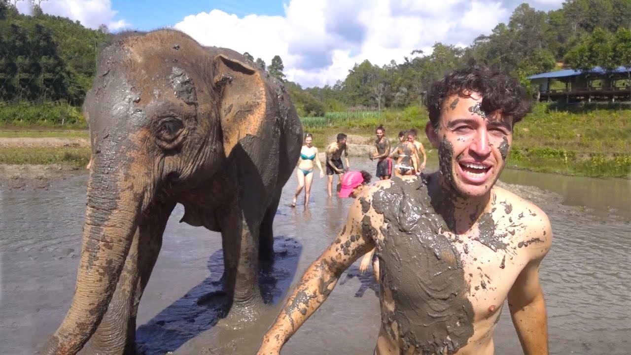 MUD BATH with an ELEPHANT! Chiang Mai Thailand - YouTube