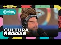 Néstor de Nonpalidece sobre Bob Marley y los esenciales del reggae #TodoPasa