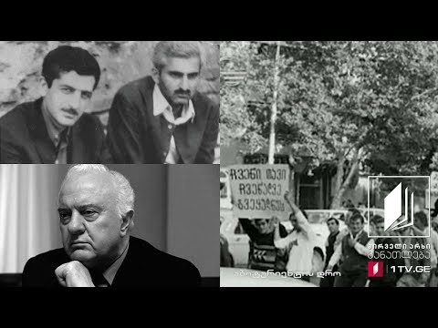 ისტორია, აბიტურიენტის დრო - ეროვნულ განმანთავისუფლებელი მოძრაობის დასაწყისი #ტელესკოლა