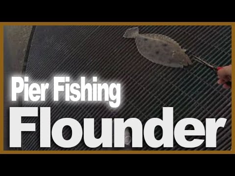 Flounder Fishing from pier 