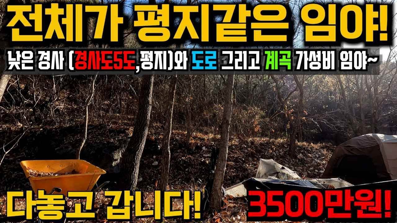경사도 5도 ~평지수준 임야! 전체가 관리지역에 현황도로+전기+계곡까지 다갖춘 가성비 임야매매 ~단돈3500만원! 세상사는 부동산
