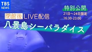 【LIVE】横浜・八景島シーパラダイスの魚たち　閉館後の様子を特別公開 /YOKOHAMA HAKKEIJIMA SEA PARADISE, JAPAN（2021年1月24日）