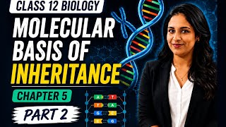 Class 12th Biology Chapter 5 Molecular Basis of Inheritance Part 2 #biology #neet #nvs #ncert 