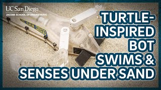 Turtle-inspired bot swims and senses under sand