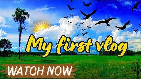 My First Vlog 😂 || My First Vlog Video 2025 || neha Yadav Vlogs