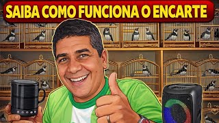 Encarte com caixinha de som é raro pegar