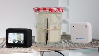 How to Build a Proofing Chamber for Fermenting Sourdough Bread