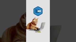ORM, explained by cats