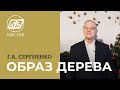 «ОБРАЗ ДЕРЕВА» — Г.А. Сергиенко