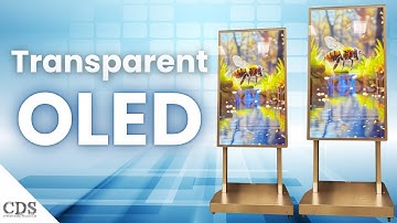 55-inch Transparent OLED Kiosk by CDS | Next-Gen Digital Signage with Stunning Clarity & Innovation