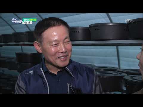 6시 내고향-새해에는 달팽이처럼 - 충남 보령.20190116