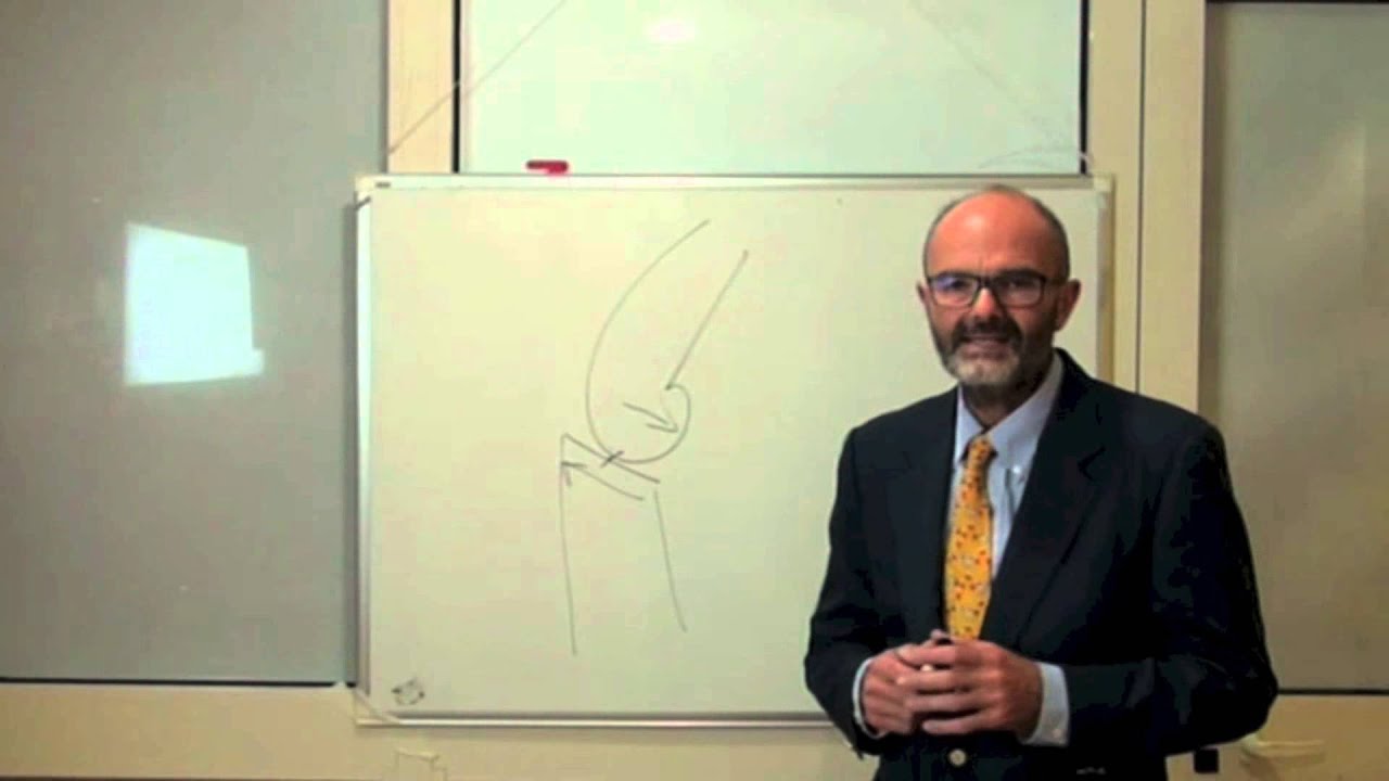 Clinica Veterinaria Gregorio VII La rottura del legamento crociato Clinica Veterinaria Gregorio VII La rottura del legamento crociato