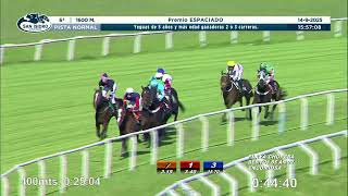 Vidéo de la course PMU PRIX ESPACIADO