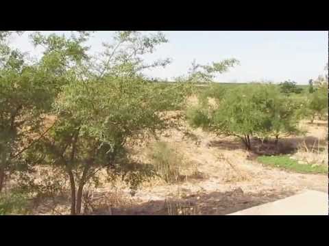 قرية سيرين في هضبة سيرين الجليل الأسفل الشرقي