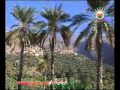 لك حبي يا بلادي - شادي عمان