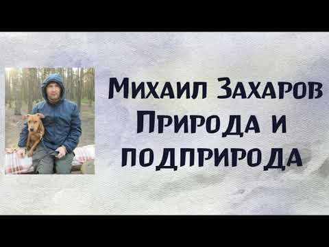 Михаил Захаров. Природа и подприрода. 17.04.21