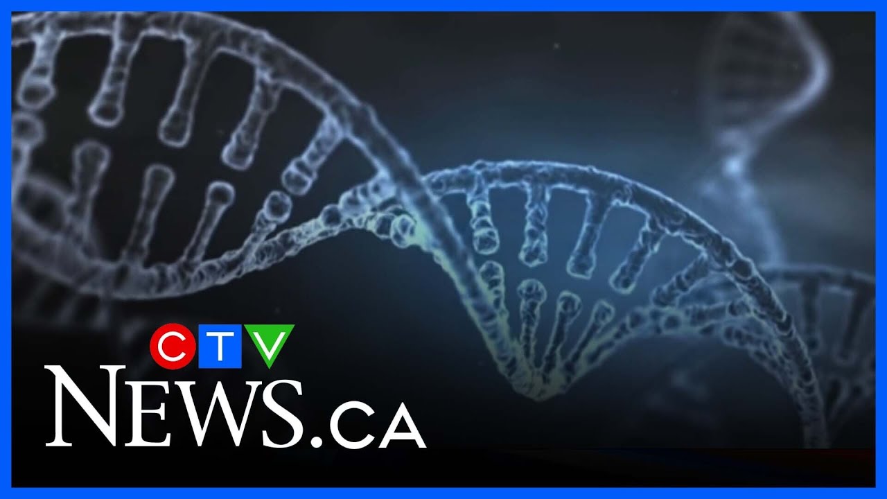 Advances in DNA analysis lead to breaks in cold cases in 2025 - YouTube