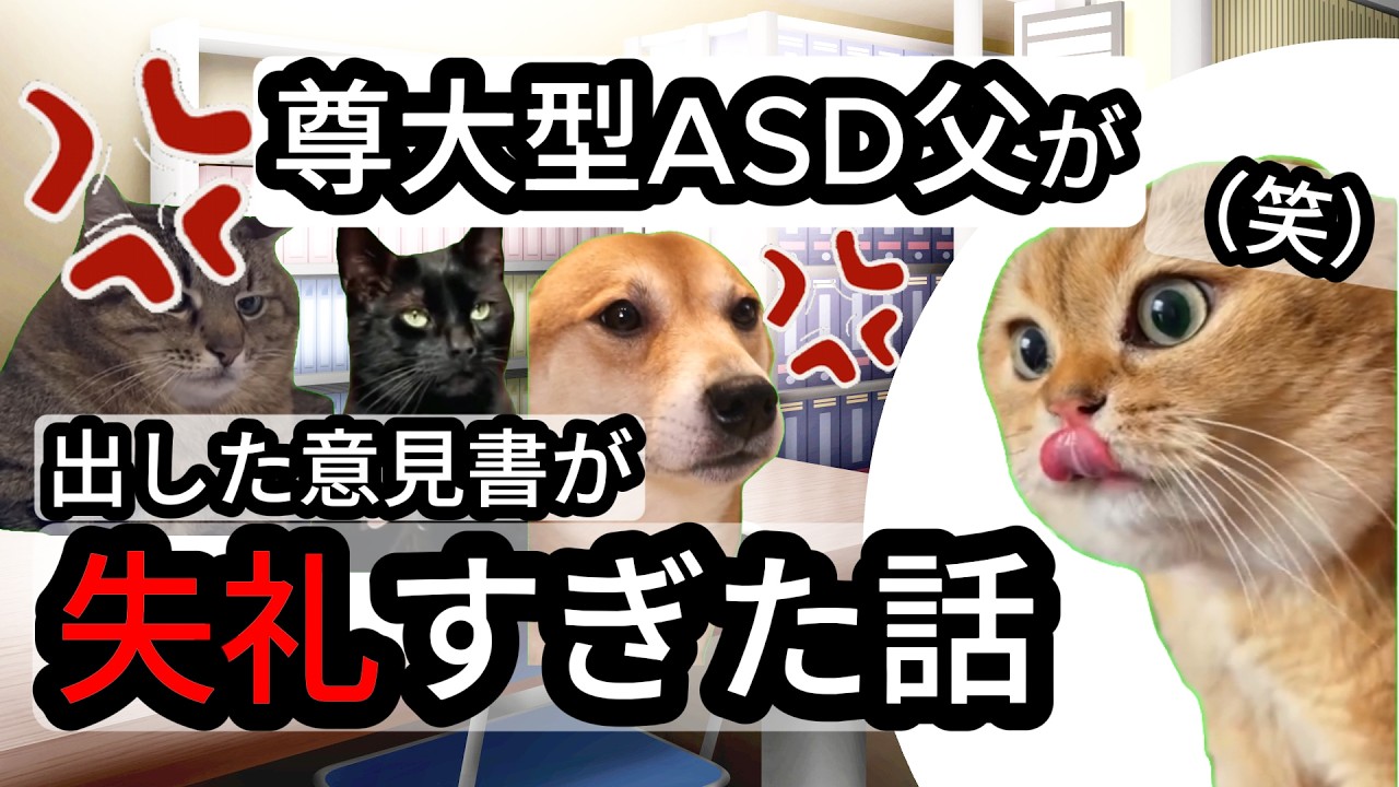 モラハラASD父が人に喧嘩売りまくって辛い話〜意見書編〜【猫ミーム】