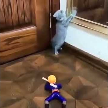 Tidak semudah itu ferguso - LUCU