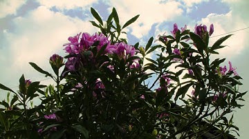 DIY Motion Timelapse Dolly system Mk2 - Canon 7D