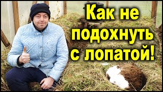 Органические гряды больше не копаю! Есть лучше способ!