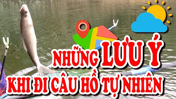 Một số lưu ý trước khi đi câu hồ tự nhiên để luôn được nhiều cá mang về cho vợ nấu canh chua