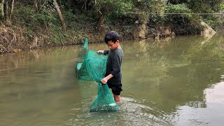 Bagua trap, an orphan boy khai sets a bagua trap to harvest shrimp and catfish to sell