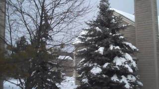3 Bedroom Condo w/ all the EXTRA's in Hilliard