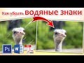 Как убрать водяные знаки с картинки в Photoshop, PDF, Microsoft Word