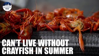 Mouth-watering summer dish crayfish is just 'a click' away Mouth-watering summer dish crayfish is just 'a click' away
