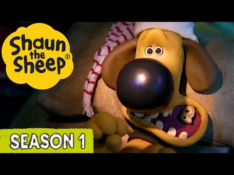 Bitzer S Toothache Camping Chaos Shaun The Sheep Season 1 Full Episodes Cartoons For Kids