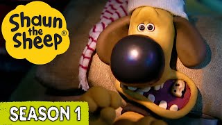 Bitzer's Toothache \u0026 Camping Chaos | Shaun the Sheep Season 1 Full Episodes | Cartoons for Kids