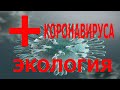 Главный плюс коронавируса