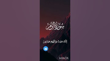 سورة الزمر ماهر المعيقلي ! #وائرل2024 #یوتیوب #تلاوات