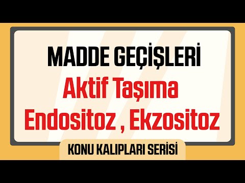 Video: Basit difüzyon aktif taşıma mıdır?