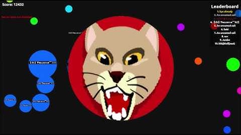 Playing on an Agario instant merge server.