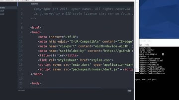 Dart Web Programming for Beginners:  35 Stagehand