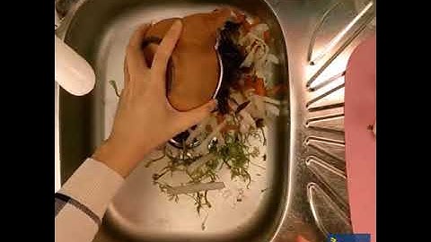 Hướng dẫn sử dụng túi lọc rác thông minh Wafi( Lọc rác Wafi)