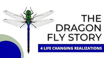 4 Life Changing Realizations - The Dragonfly Story  | Watch Full Video